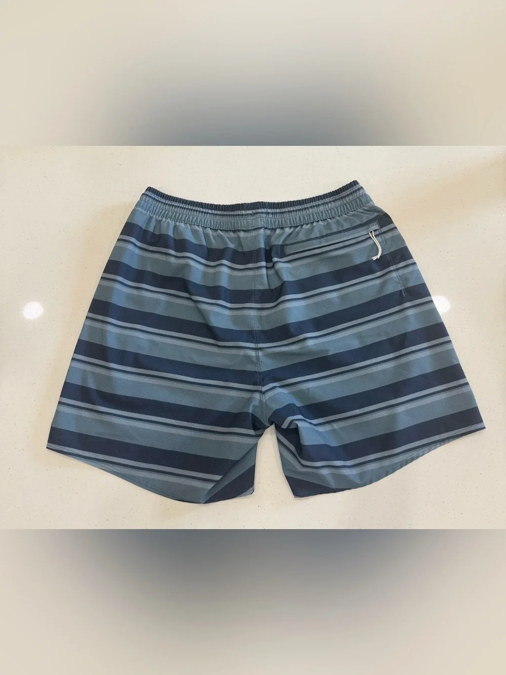 Patagonia Men's Navy & Sky Blue Striped Board Shorts